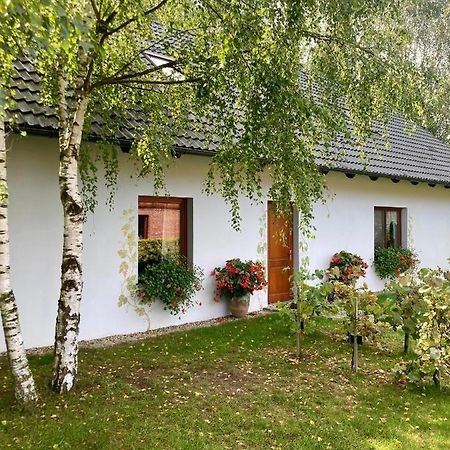 Winnica De Sas Krosnice 外观 照片